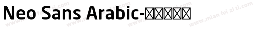 Neo Sans Arabic字体转换